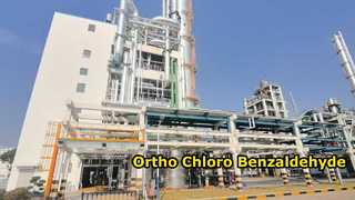 Para Chloro Benzaldehyde-Changzhou Xindong কেমিক্যাল ইন্ডাস্ট্রি ডেভেলপমেন্ট কোং, লি.